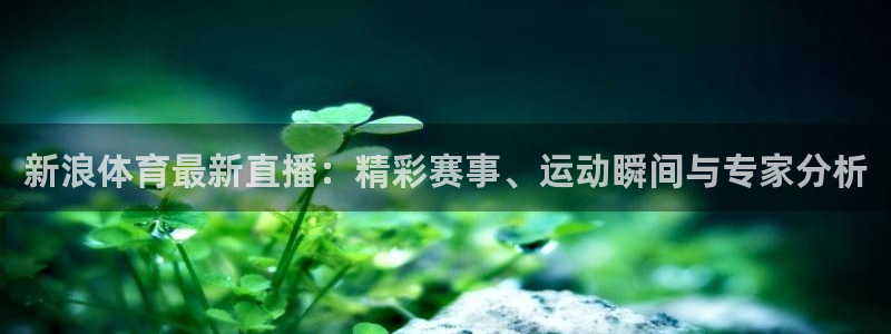 新球体育足球：新浪体育最新直播：精彩赛事、运动瞬间与专家分析