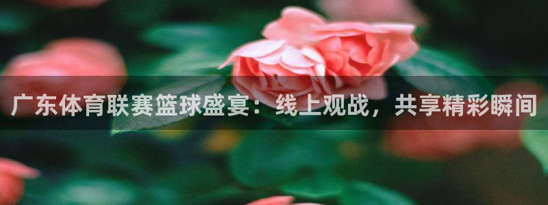 新球直播：广东体育联赛篮球盛宴：线上观战，共享精彩瞬间