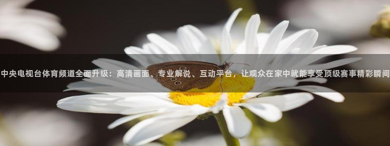 新球足球：中央电视台体育频道全面升级：高清画面、专业解说、互动平台，让观众在家中就能享受顶级赛事精彩瞬间