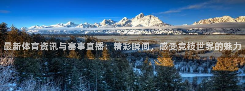 新球体育直播：最新体育资讯与赛事直播：精彩瞬间，感受竞技世界的魅力
