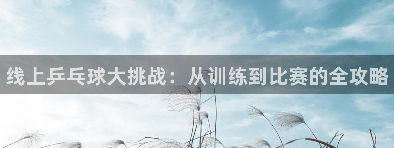 新球体育篮球比分：线上乒乓球大挑战：从训练到比赛的全攻略