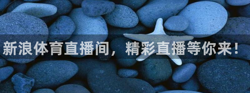 新球体育完整版：新浪体育直播间，精彩直播等你来！