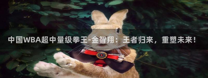 新球直播：中国WBA超中量级拳王-金智翔：王者归来，重塑未来！