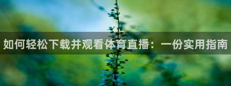 新球体育足球：如何轻松下载并观看体育直播：一份实用指南