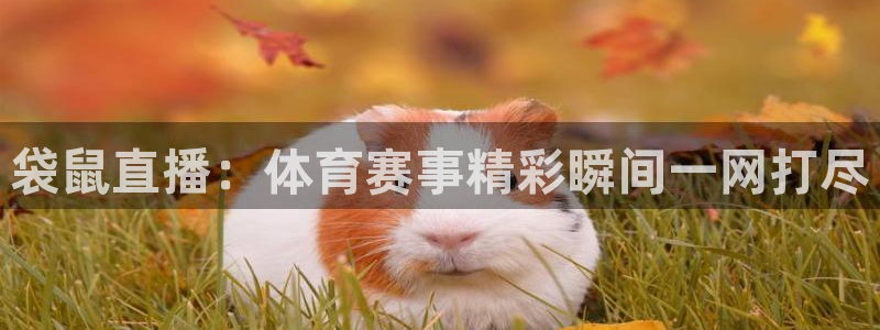 新球体育赛事：袋鼠直播：体育赛事精彩瞬间一网打尽