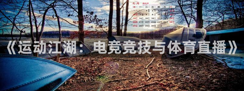 新球体育比分网：《运动江湖：电竞竞技与体育直播》