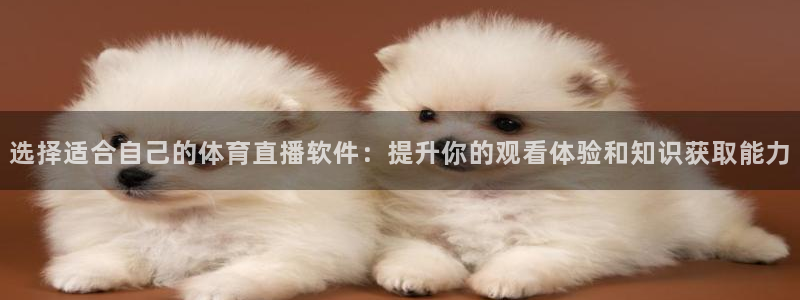 新球体育比分：选择适合自己的体育直播软件：提升你的观看体验和知识获取能力
