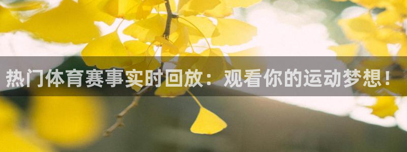 新球体育篮球比分：热门体育赛事实时回放：观看你的运动梦想！