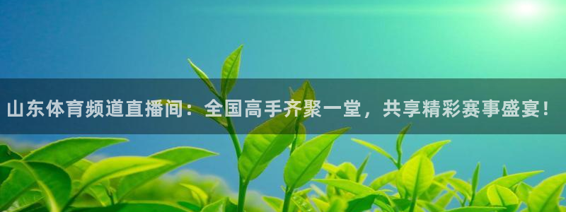 新球体育比分网：山东体育频道直播间：全国高手齐聚一堂，共享精彩赛事盛宴！