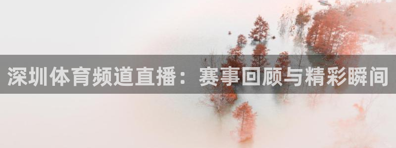 新球足球直播：深圳体育频道直播：赛事回顾与精彩瞬间