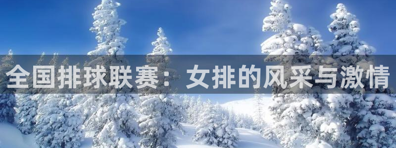 新球体育即时分：全国排球联赛：女排的风采与激情