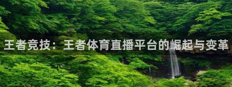 新球体育直播：王者竞技：王者体育直播平台的崛起与变革