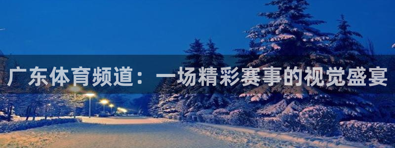 新球体育直播：广东体育频道：一场精彩赛事的视觉盛宴